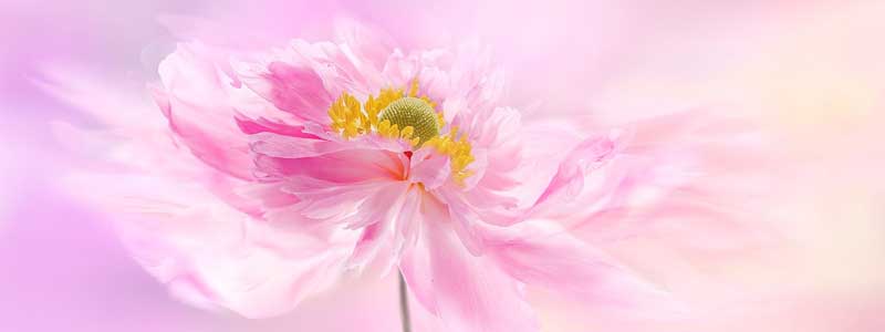 SŃGb`łlConTCgLO@0006